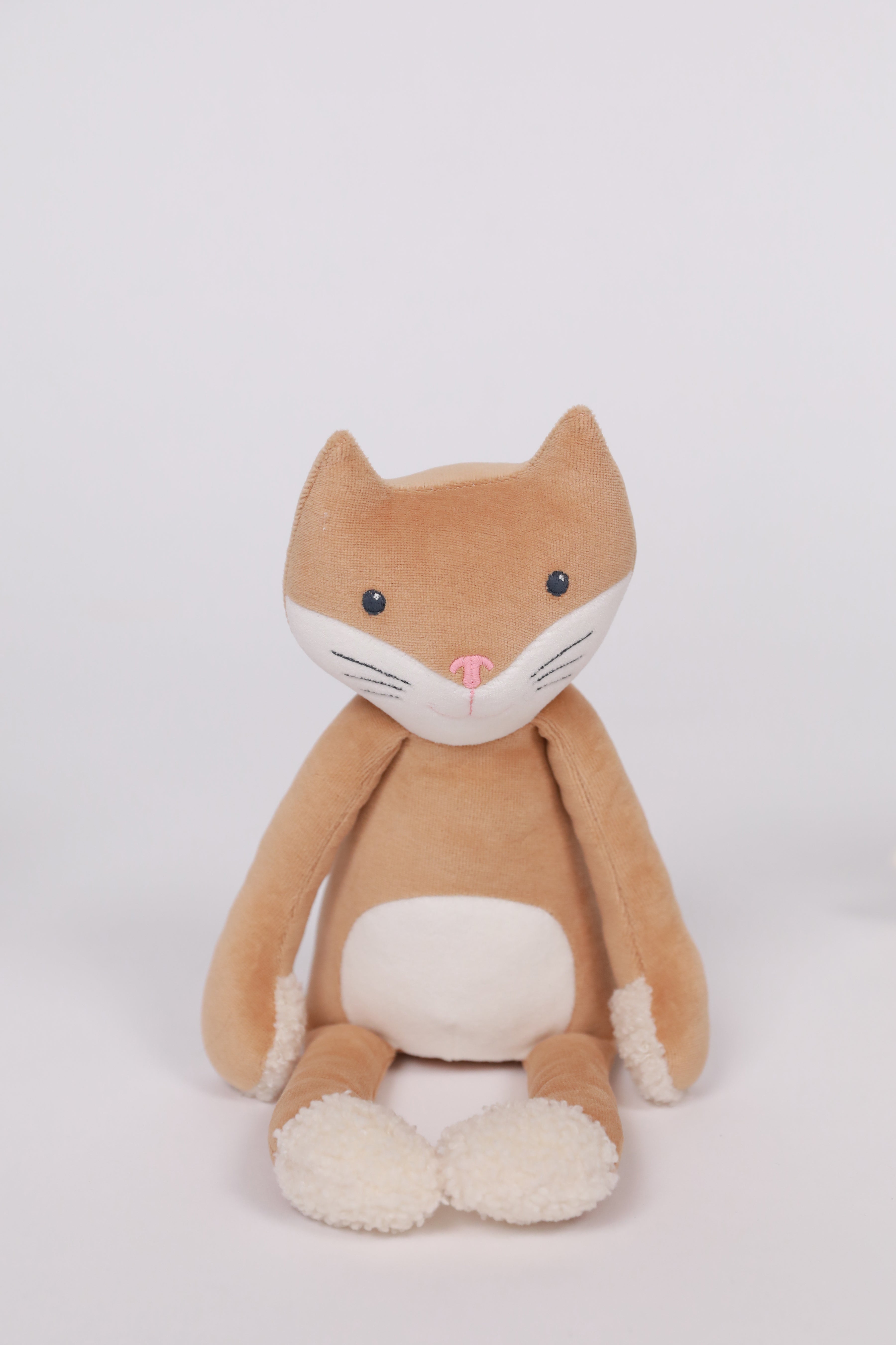 Grimm the Cat