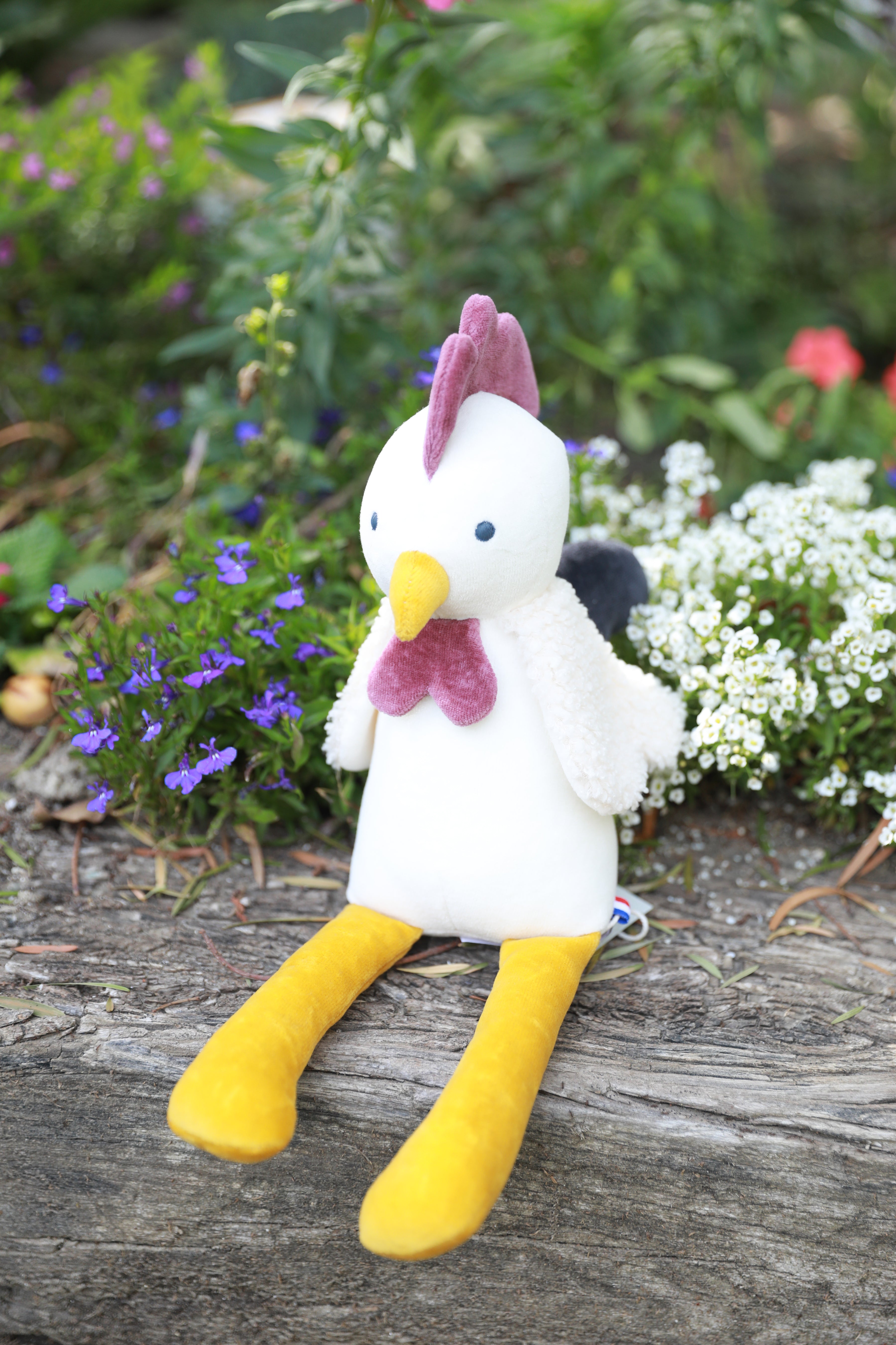 James the Chicken