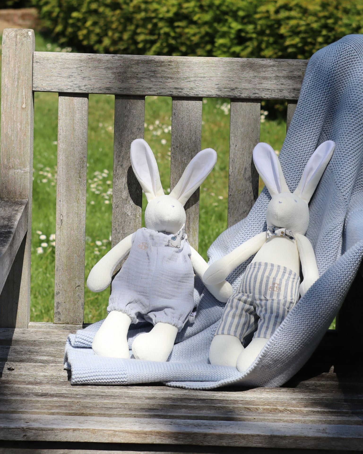 Arthus the Rabbit Summer Edition