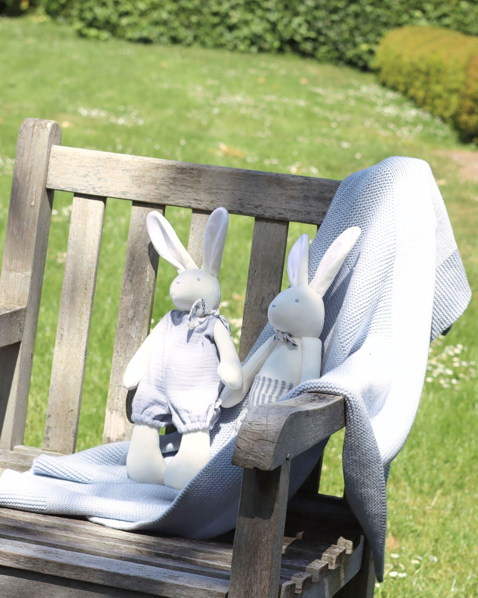 Josephine the Rabbit Summer Edition