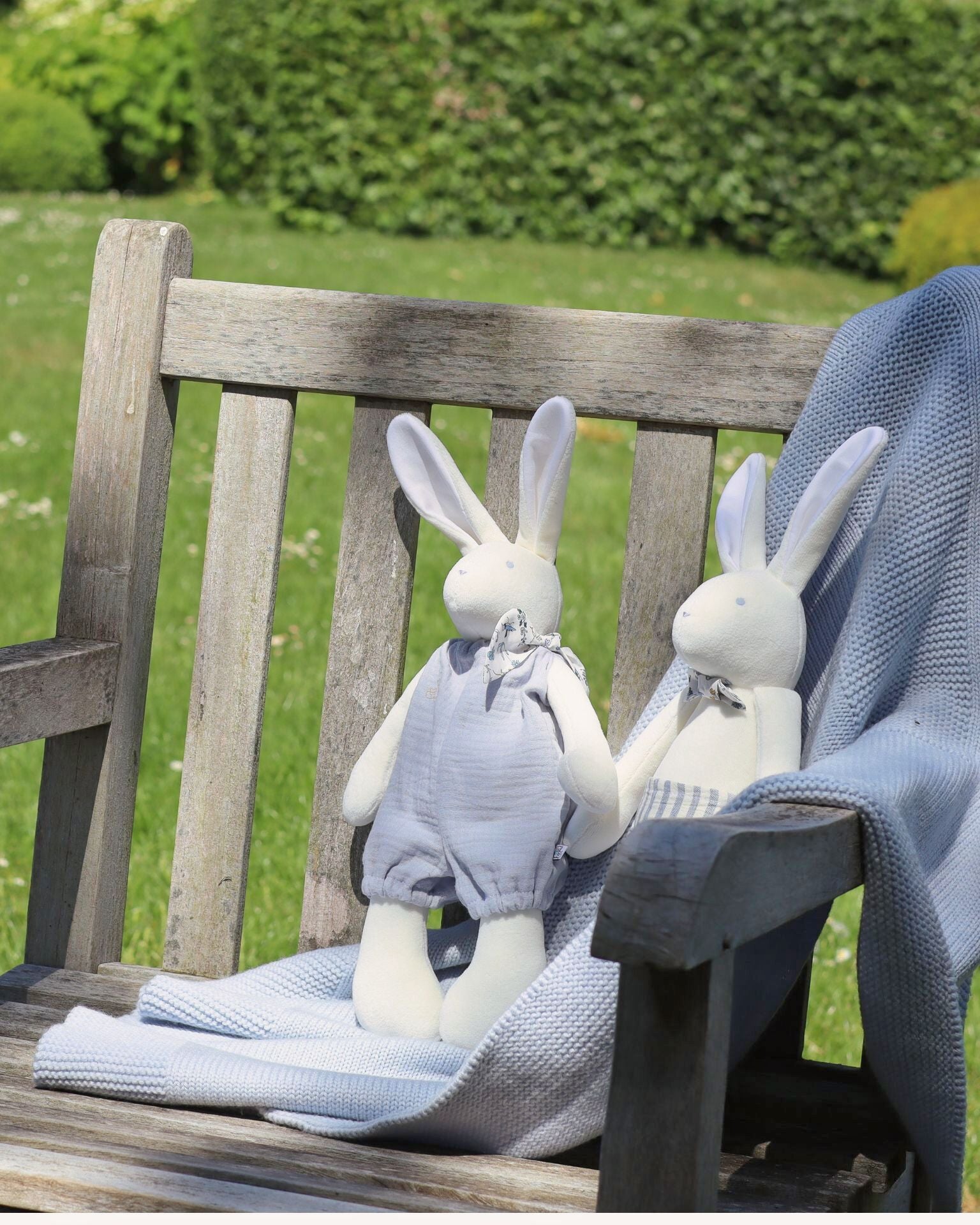 Josephine the Rabbit Summer Edition