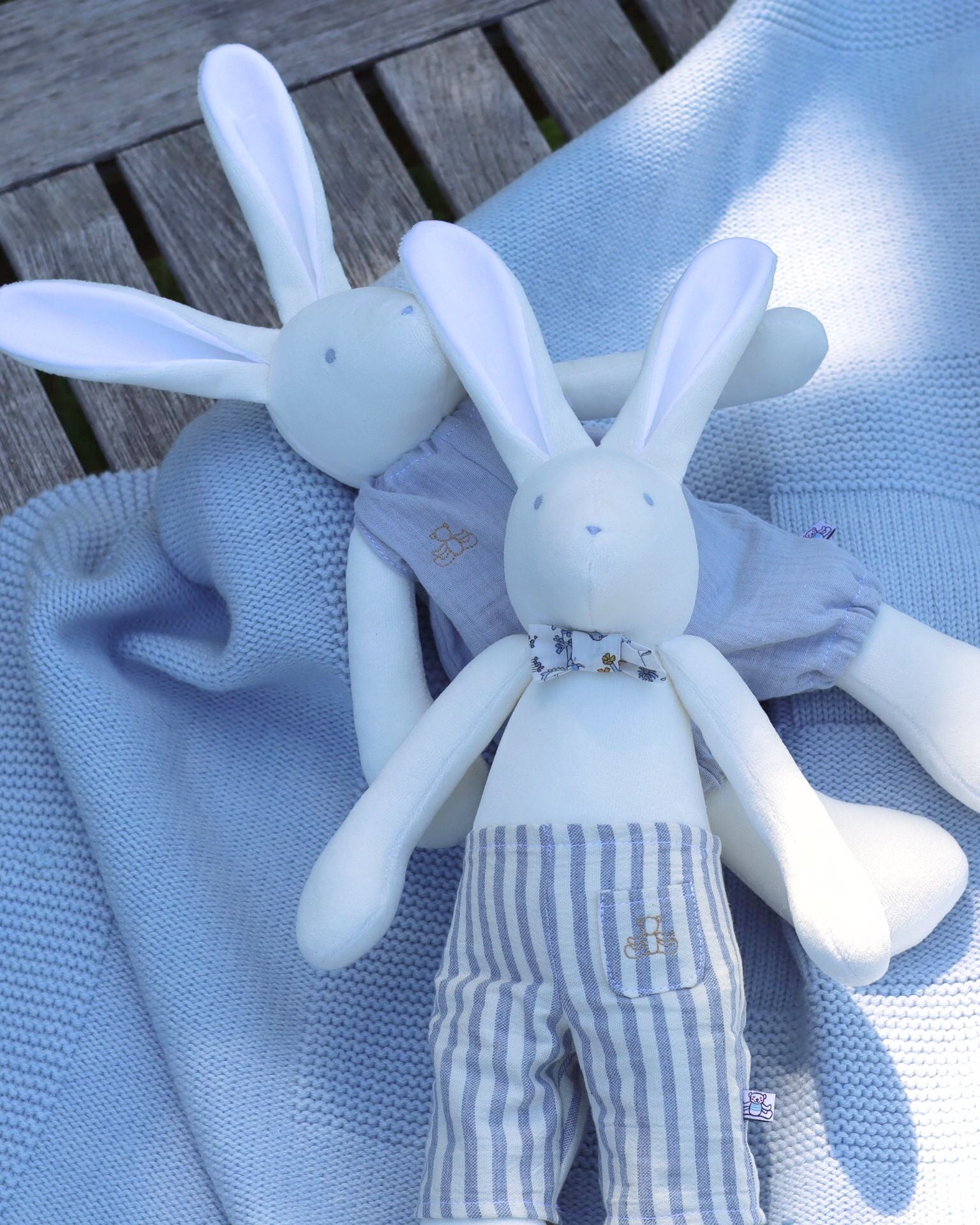 Arthus the Rabbit Summer Edition