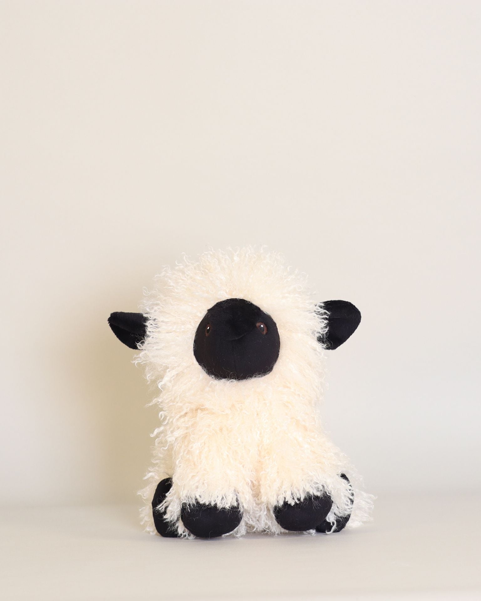 Melchior the Black-Nosed Sheep