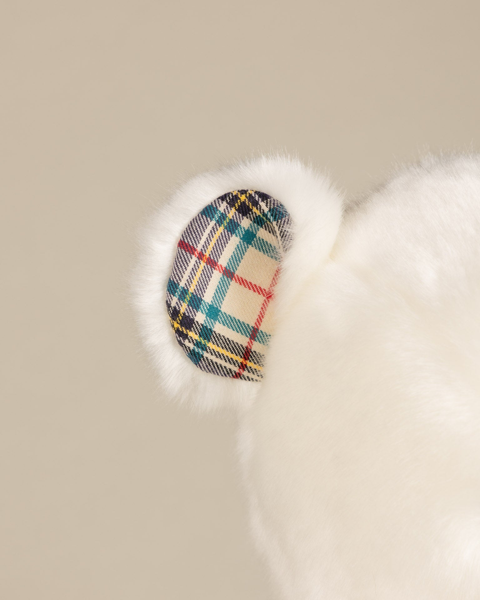 Robert the Bear | White | Scottish Print