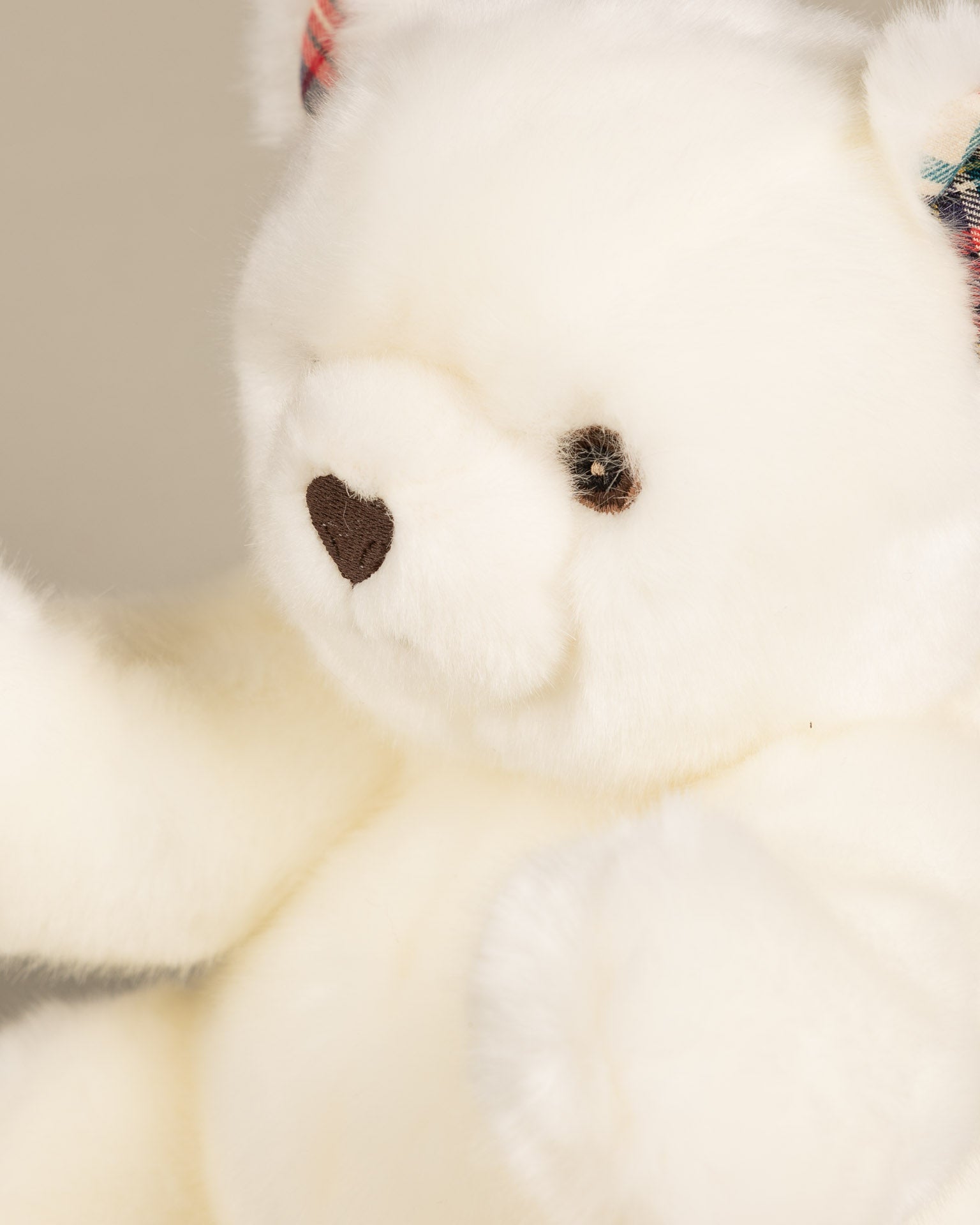 Robert the Bear | White | Scottish Print