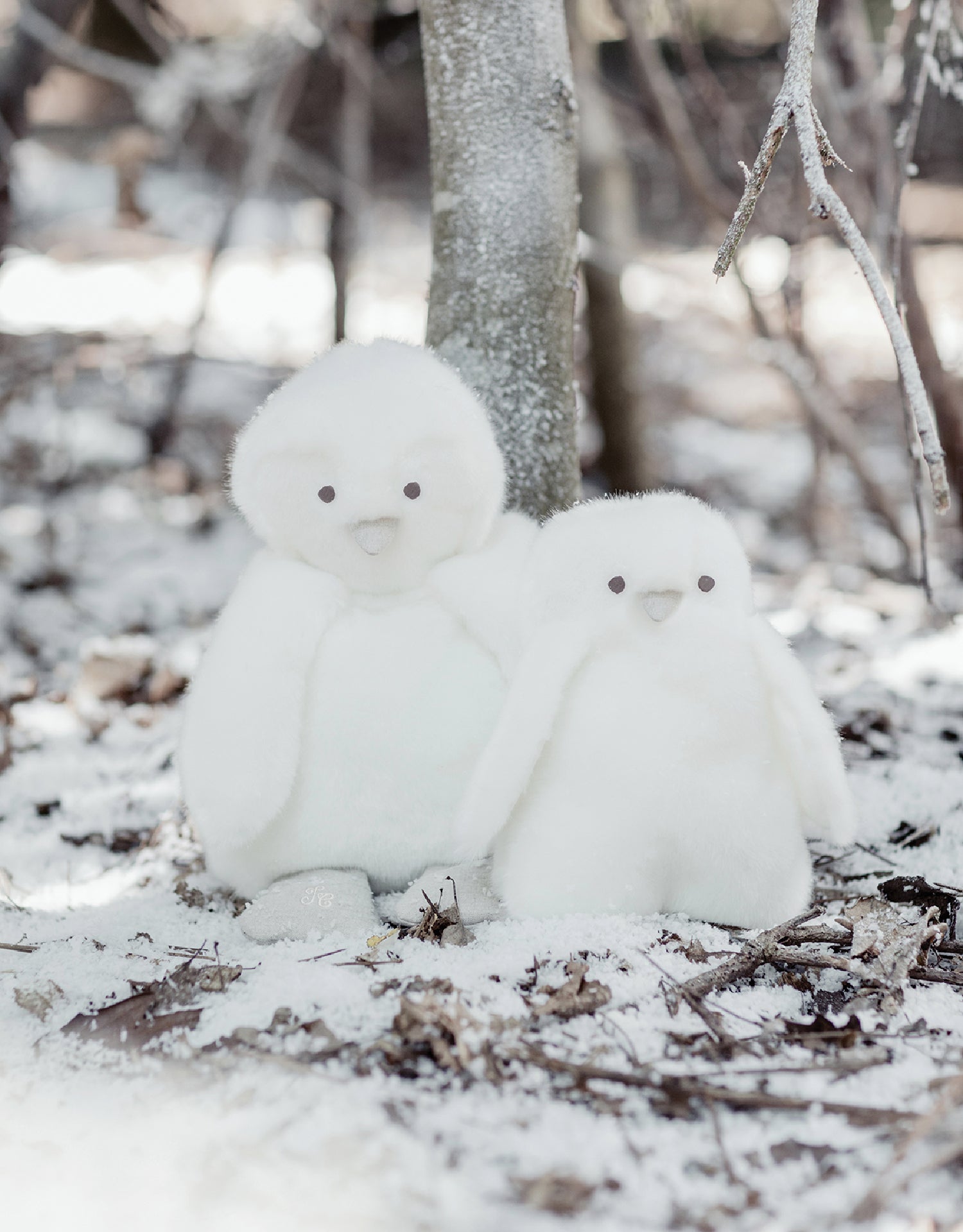 THE PENGUIN PAMPLEMOUSSE X TARTINE ET CHOCOLAT - Rattle