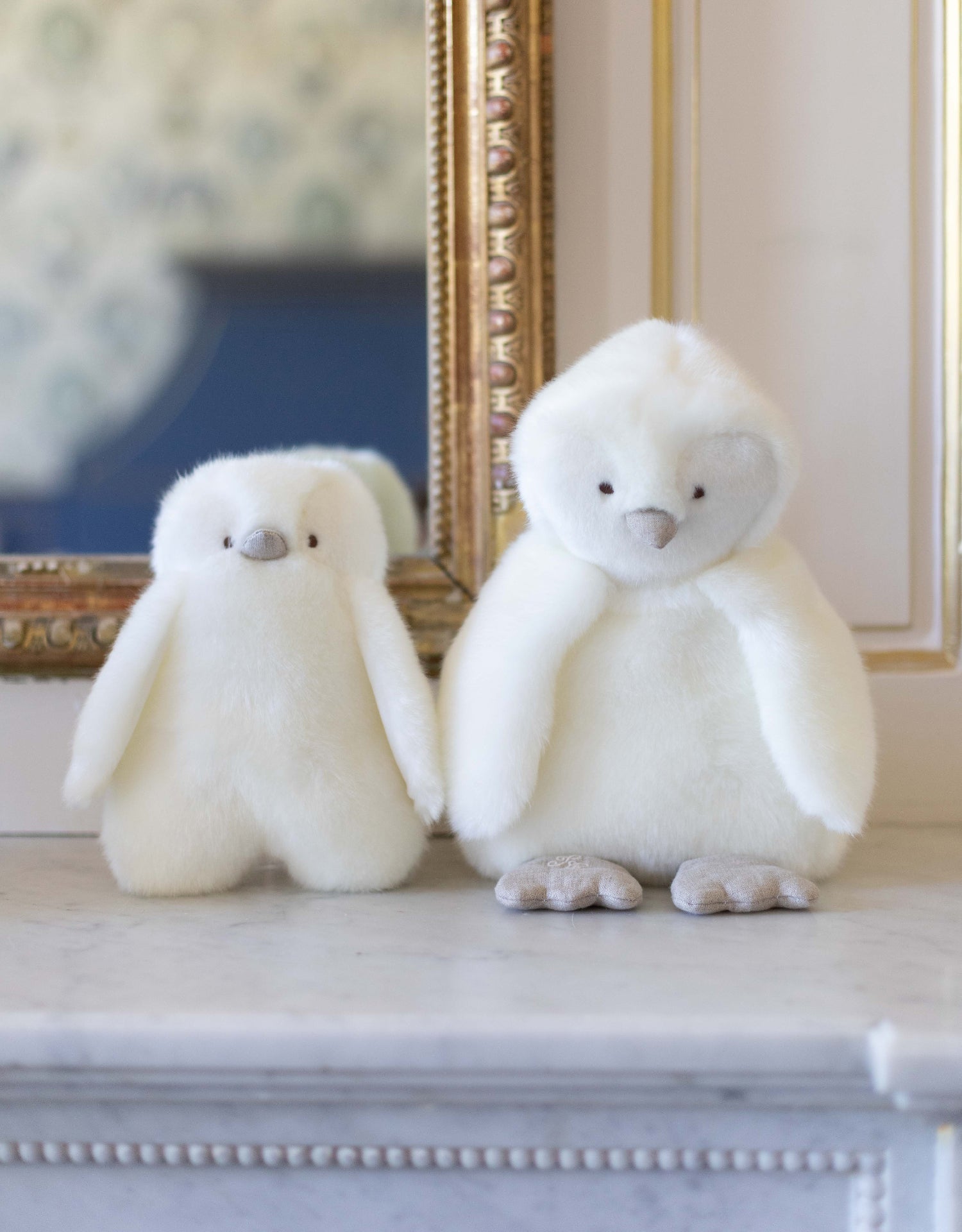 THE PENGUIN PAMPLEMOUSSE X TARTINE ET CHOCOLAT