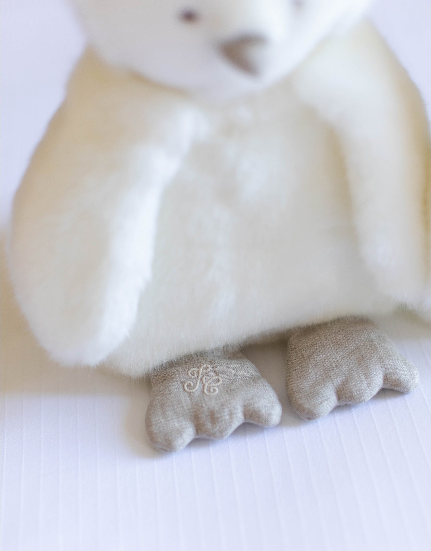 THE PENGUIN PAMPLEMOUSSE X TARTINE ET CHOCOLAT