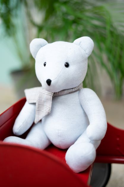 Prince of Wales Bear Blue Chevron