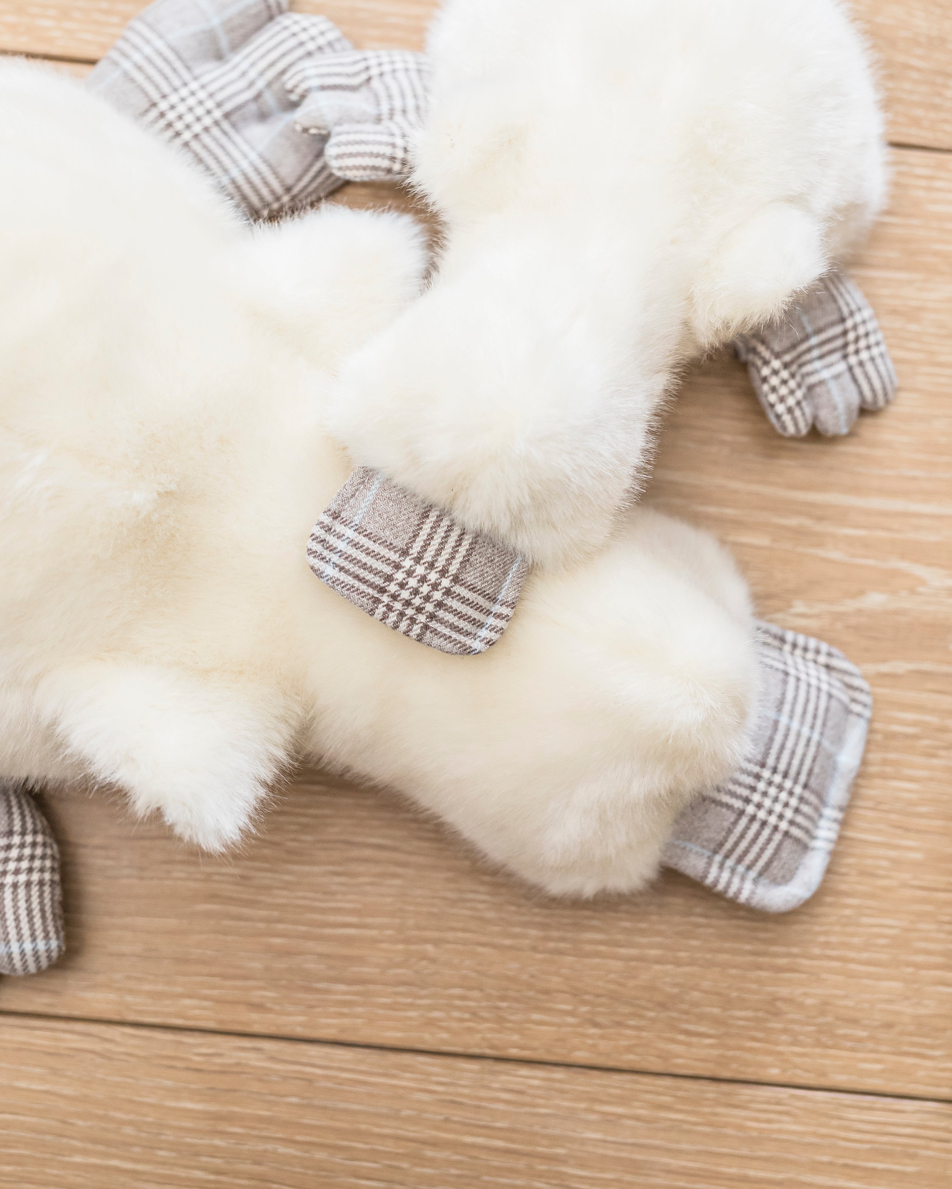 Aglae the Duck | Beige | Scottish Print