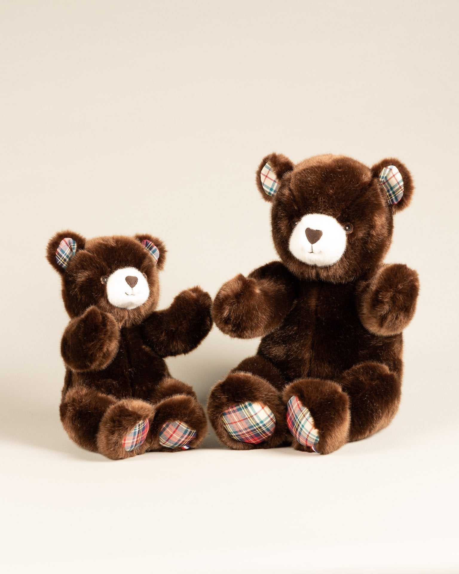 Robert the Bear | Chocolate | Scottish Print