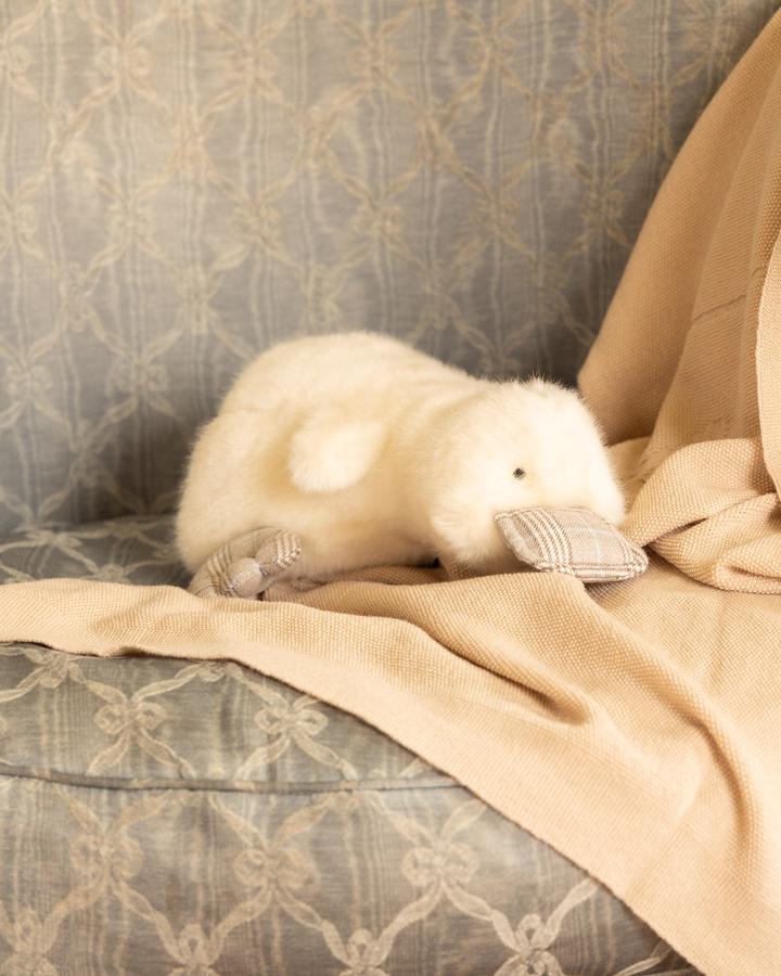 Aglae the Duck | Beige | Scottish Print