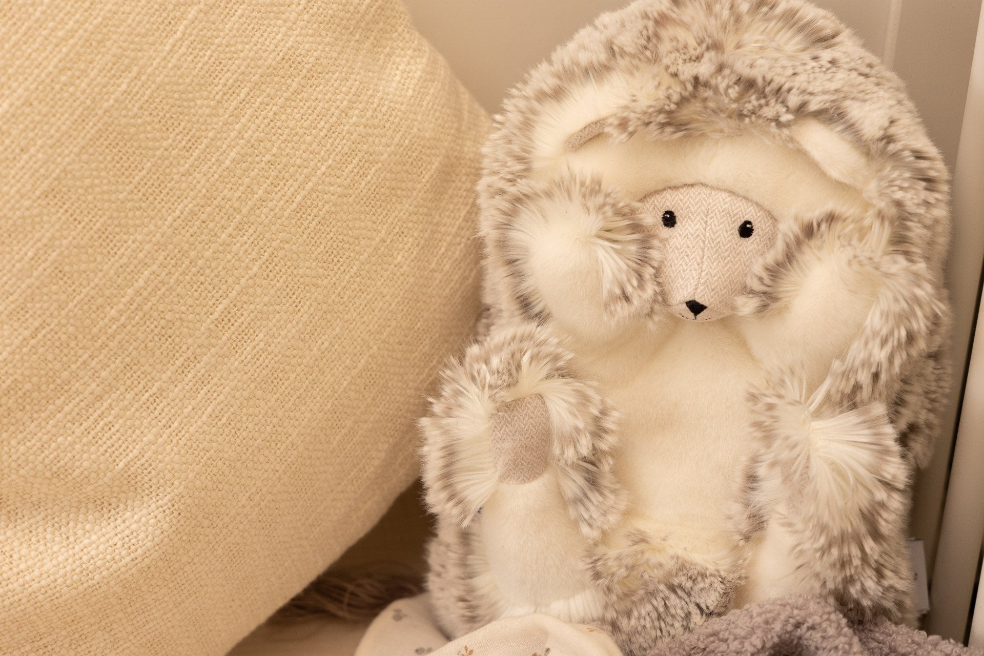 Winston the Hedgehog