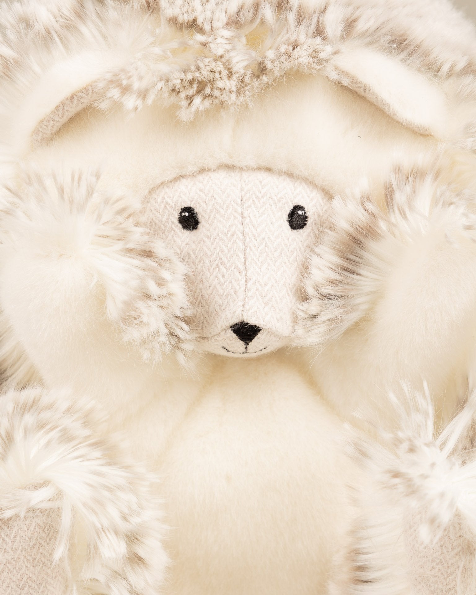 Winston the Hedgehog