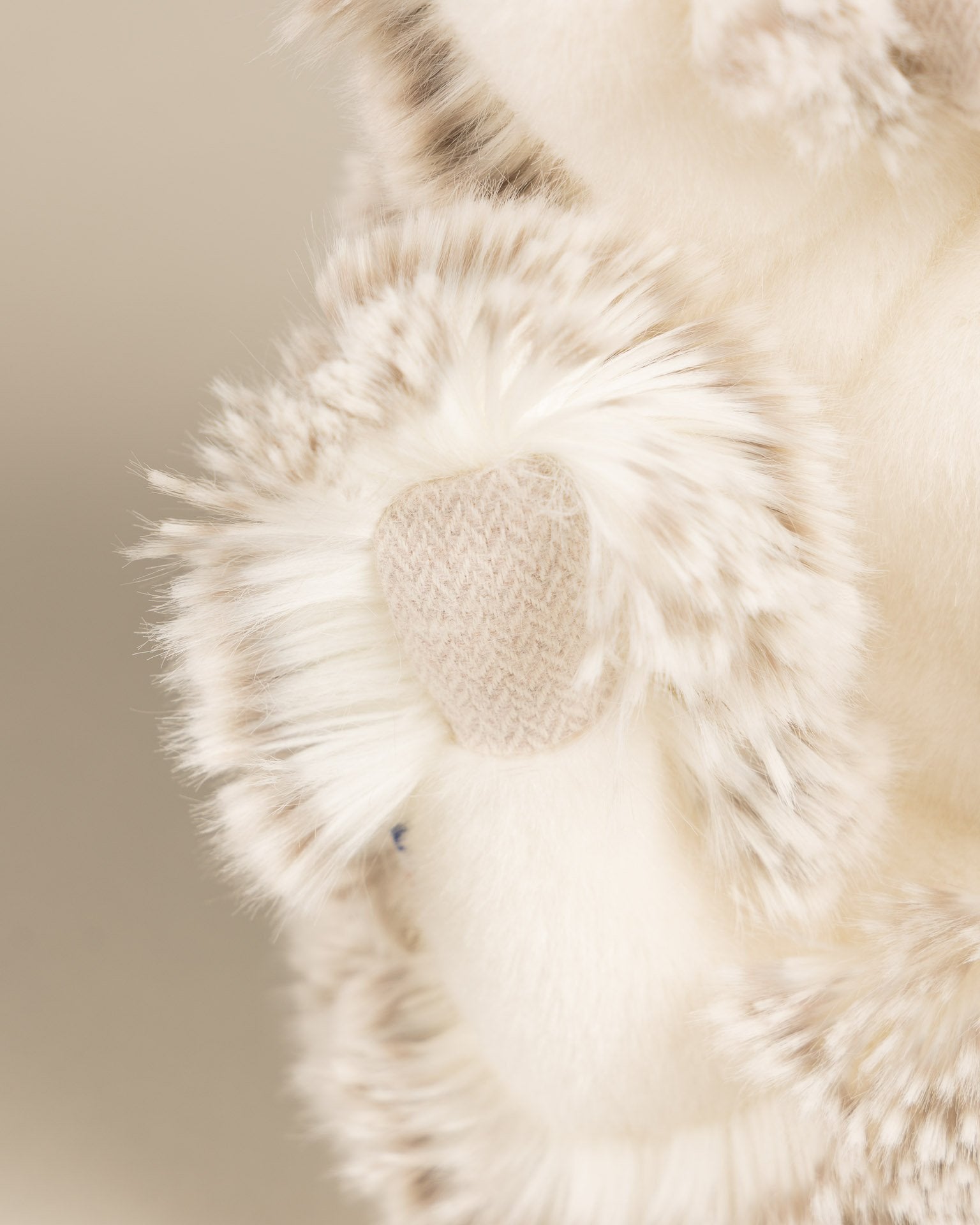 Winston the Hedgehog