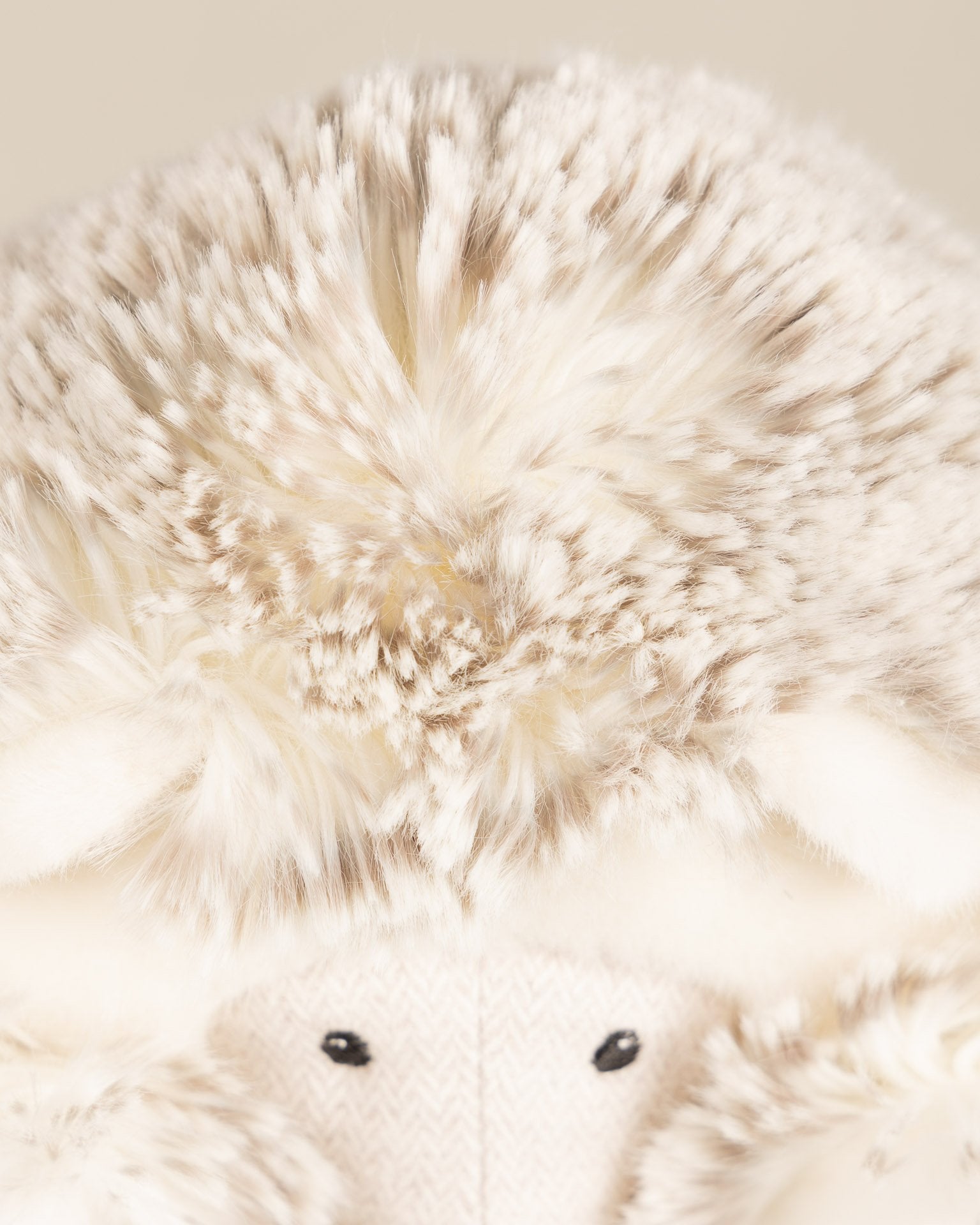 Winston the Hedgehog