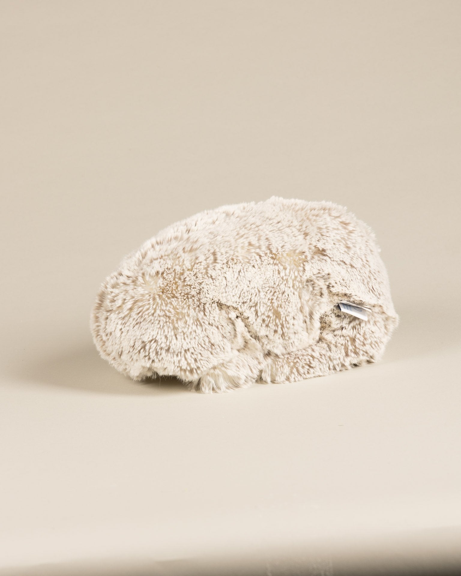 Winston the Hedgehog