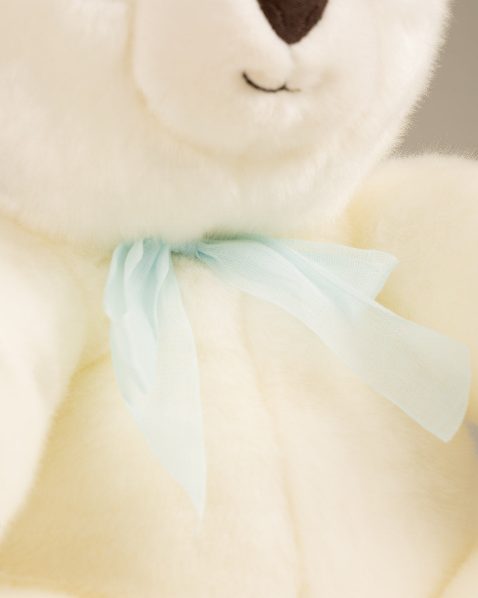 Robert the Bear | Magnifique