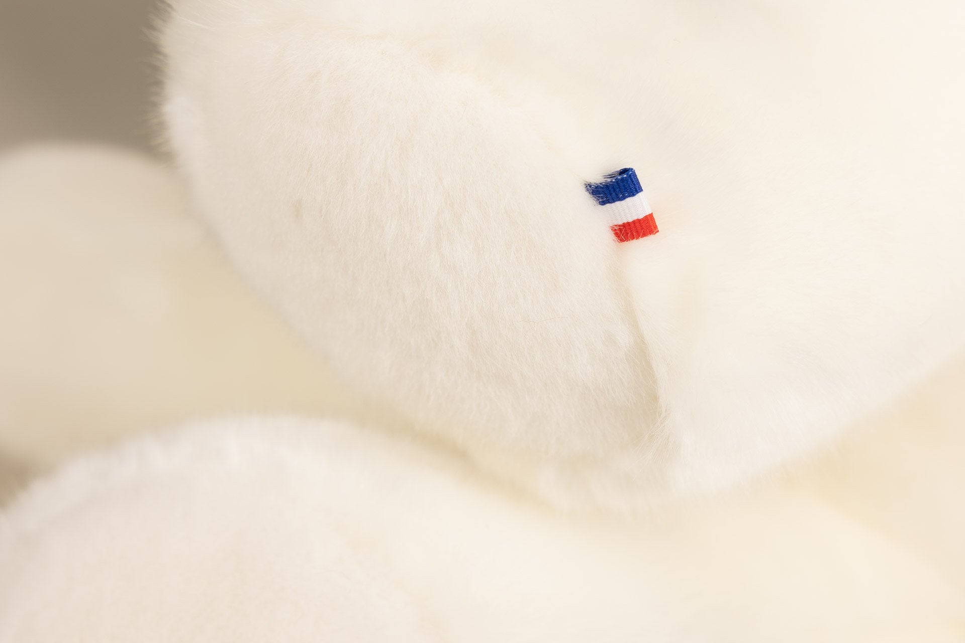 Robert the Bear | Magnifique