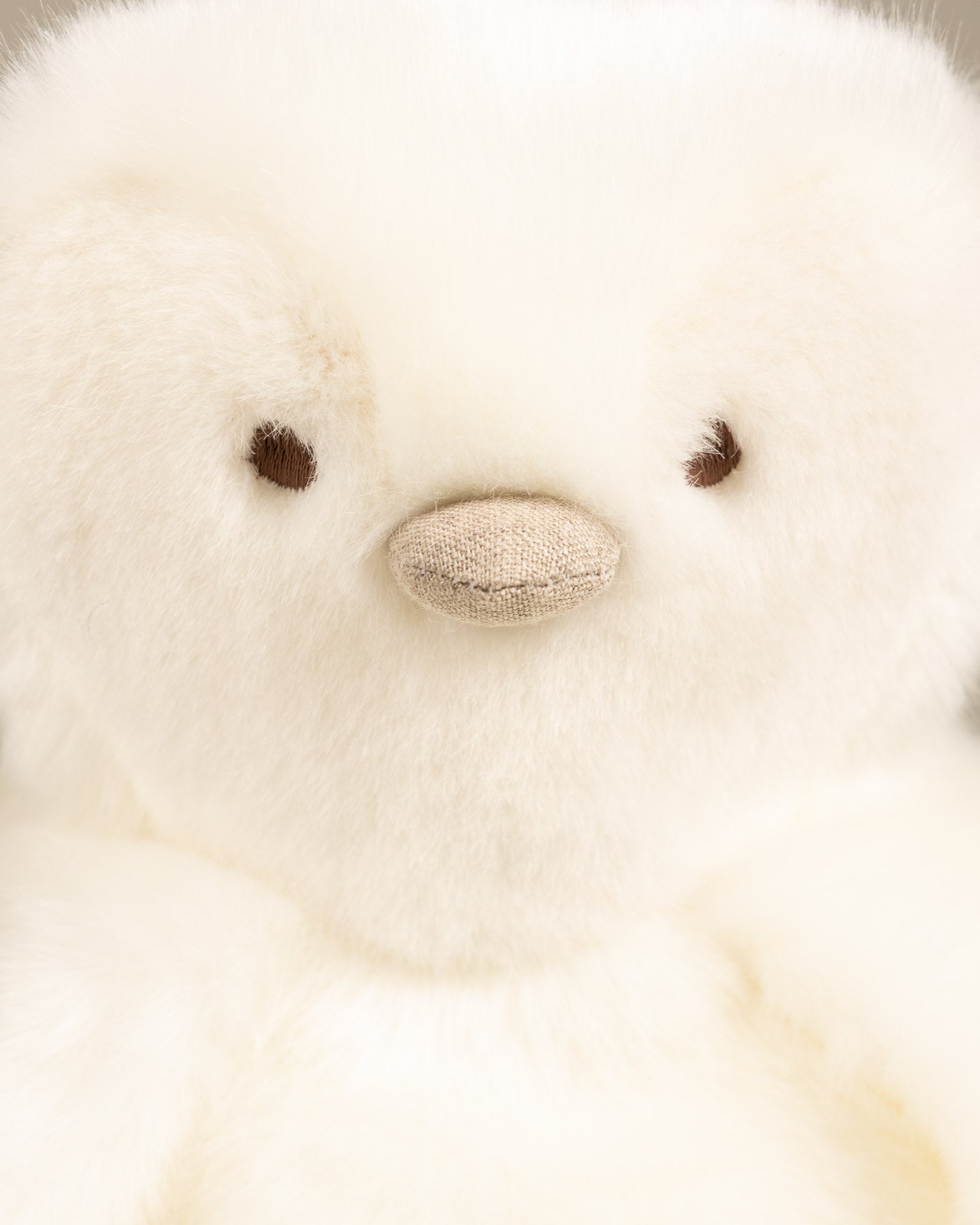 THE PENGUIN PAMPLEMOUSSE X TARTINE ET CHOCOLAT