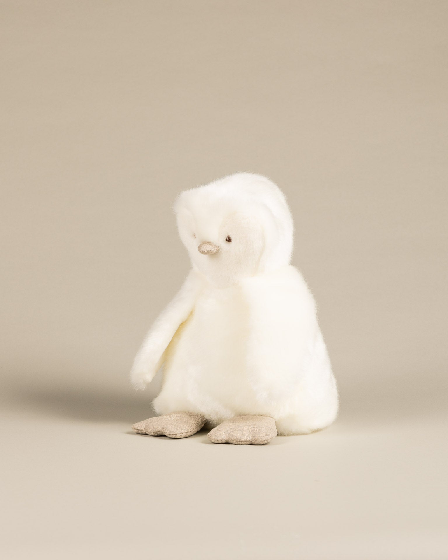 THE PENGUIN PAMPLEMOUSSE X TARTINE ET CHOCOLAT