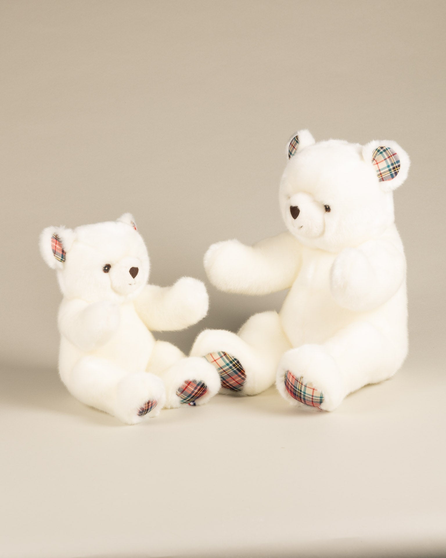 Robert the Bear | White | Scottish Print