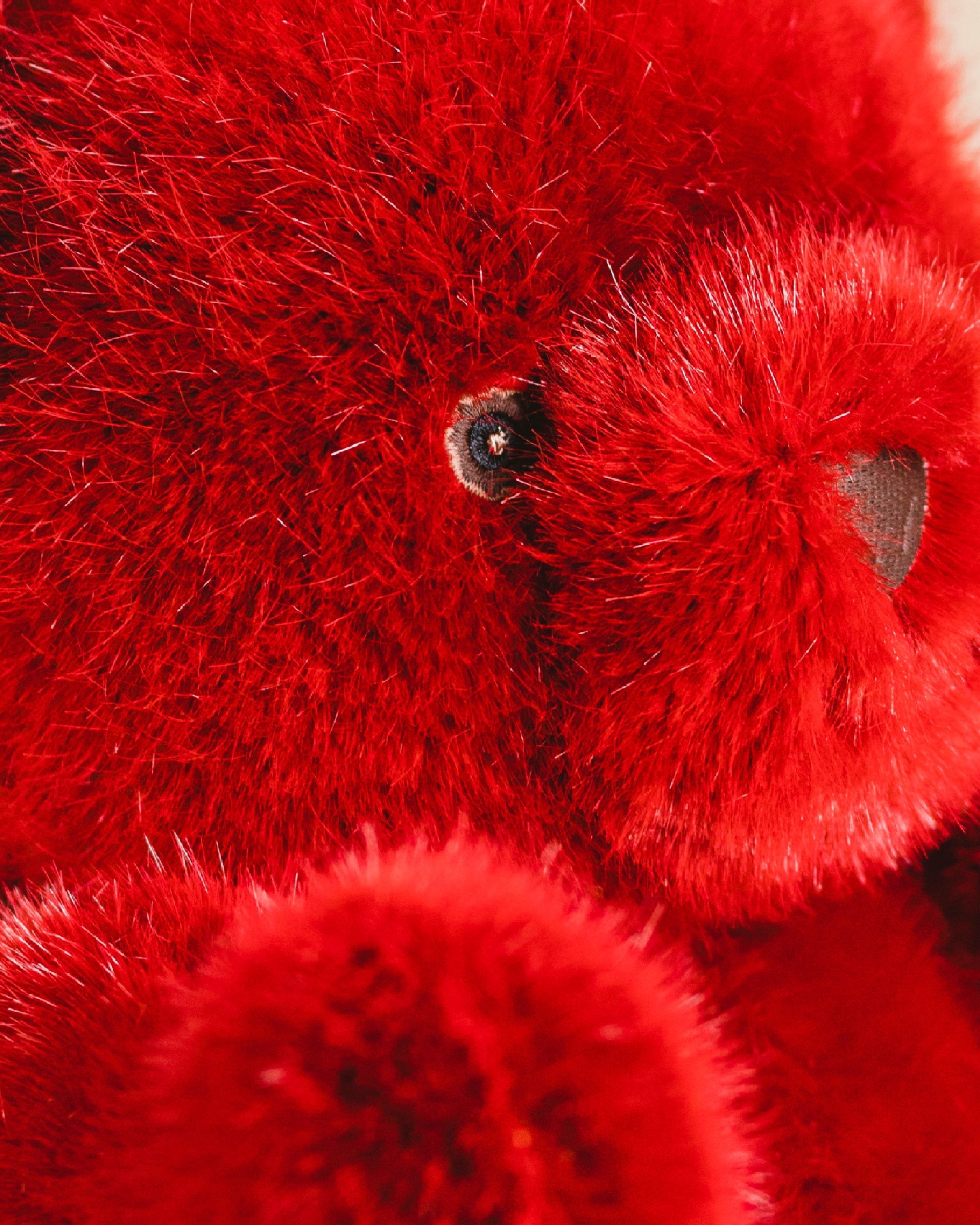 Robert the Bear | Red