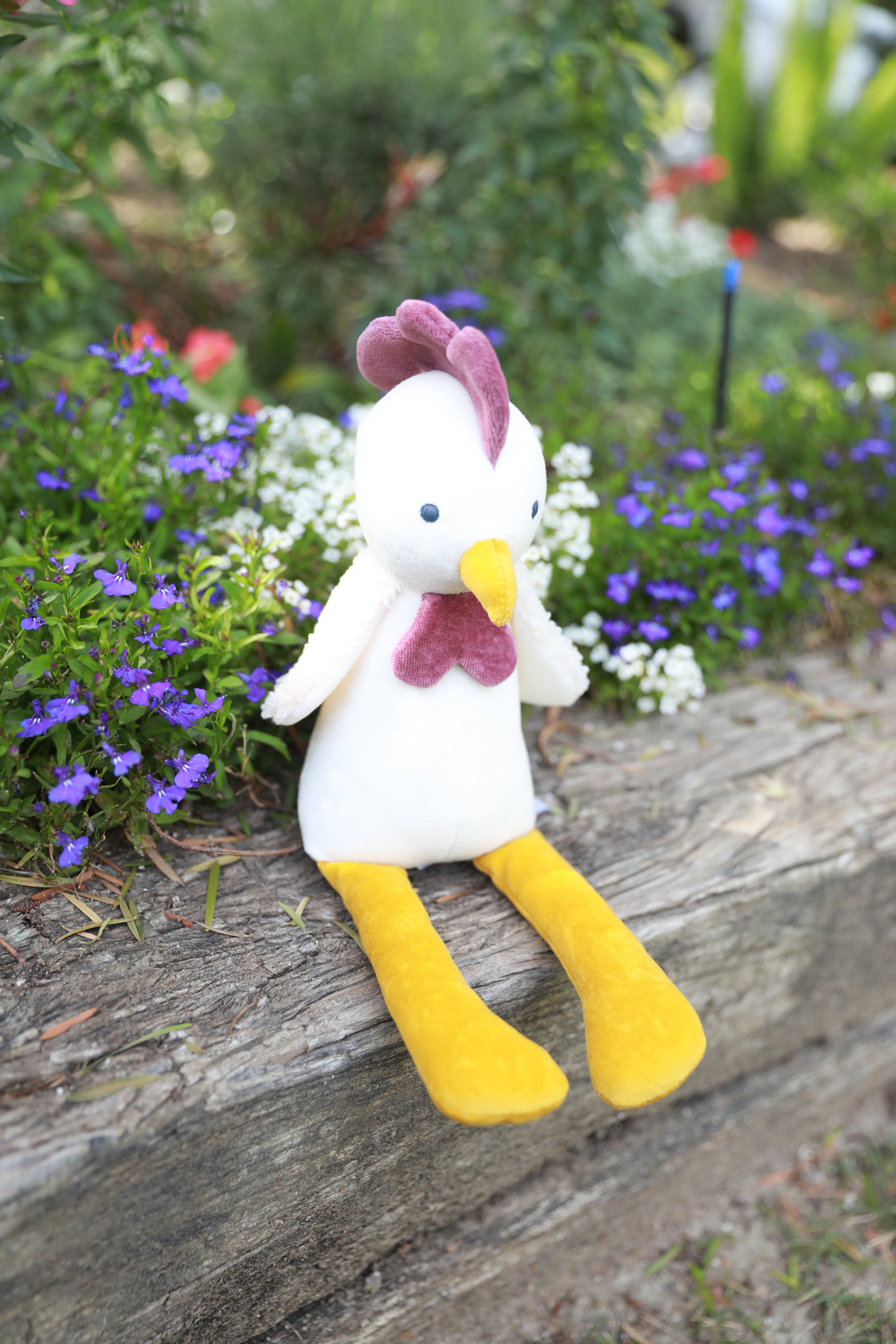 James the Chicken
