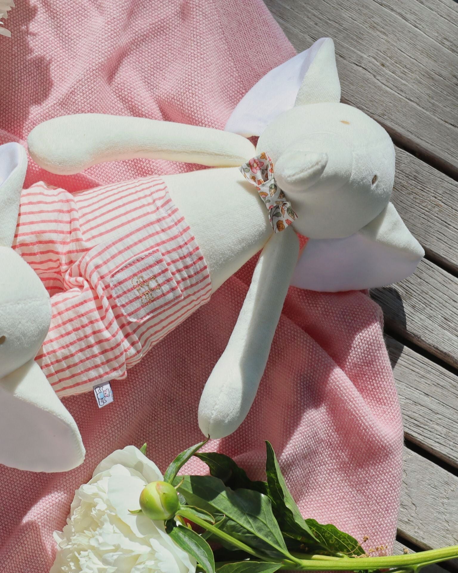 Michel the Elephant - Summer Edition