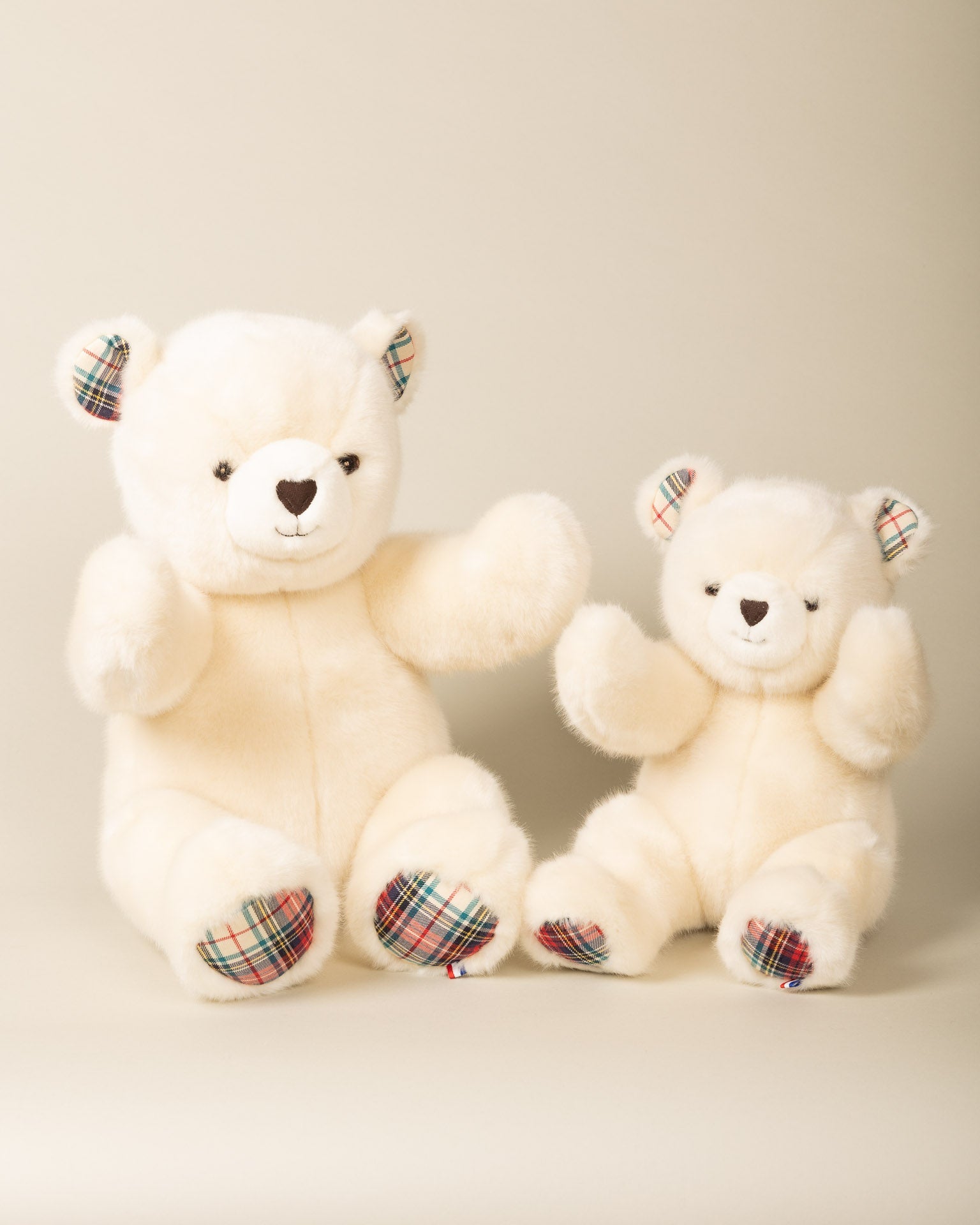 Robert the Bear | Beige | Scottish Print