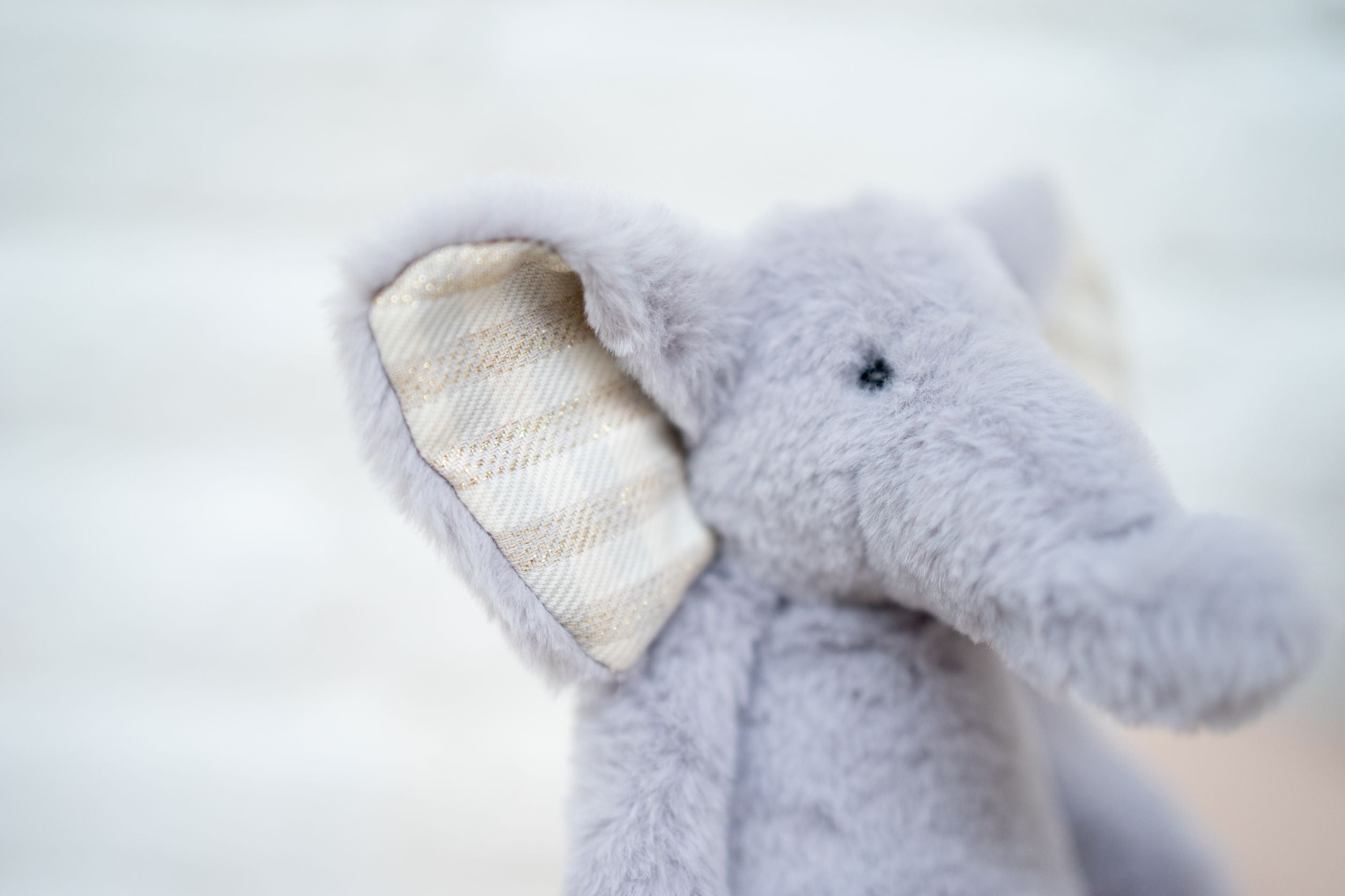 Homere the Elephant