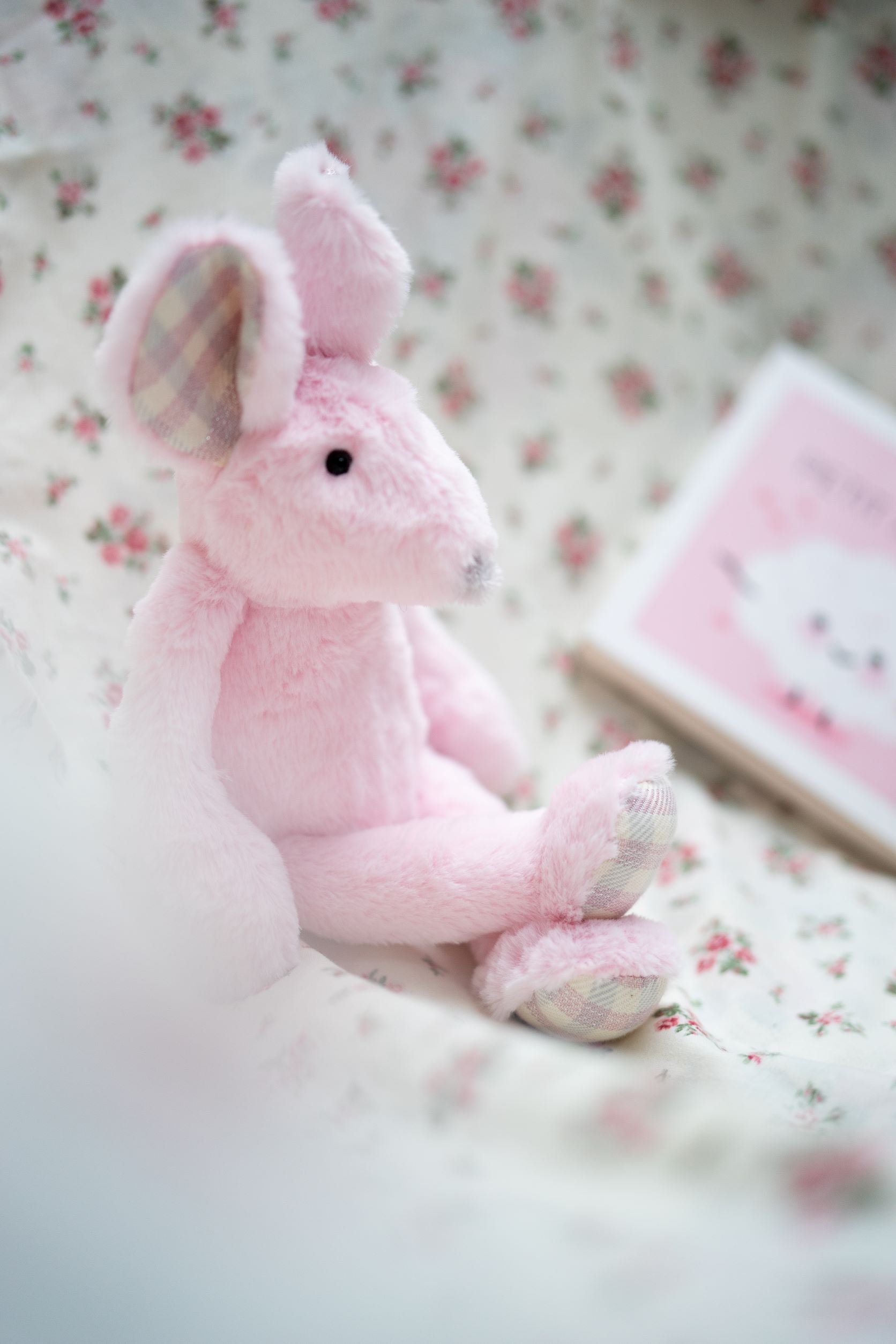Sophie the Mouse