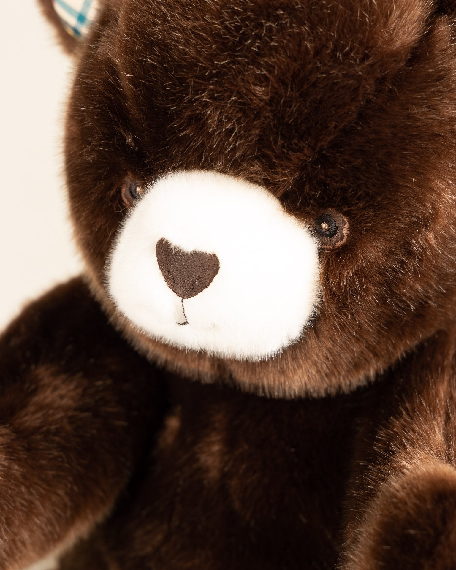 Robert the Bear | Chocolate | Scottish Print