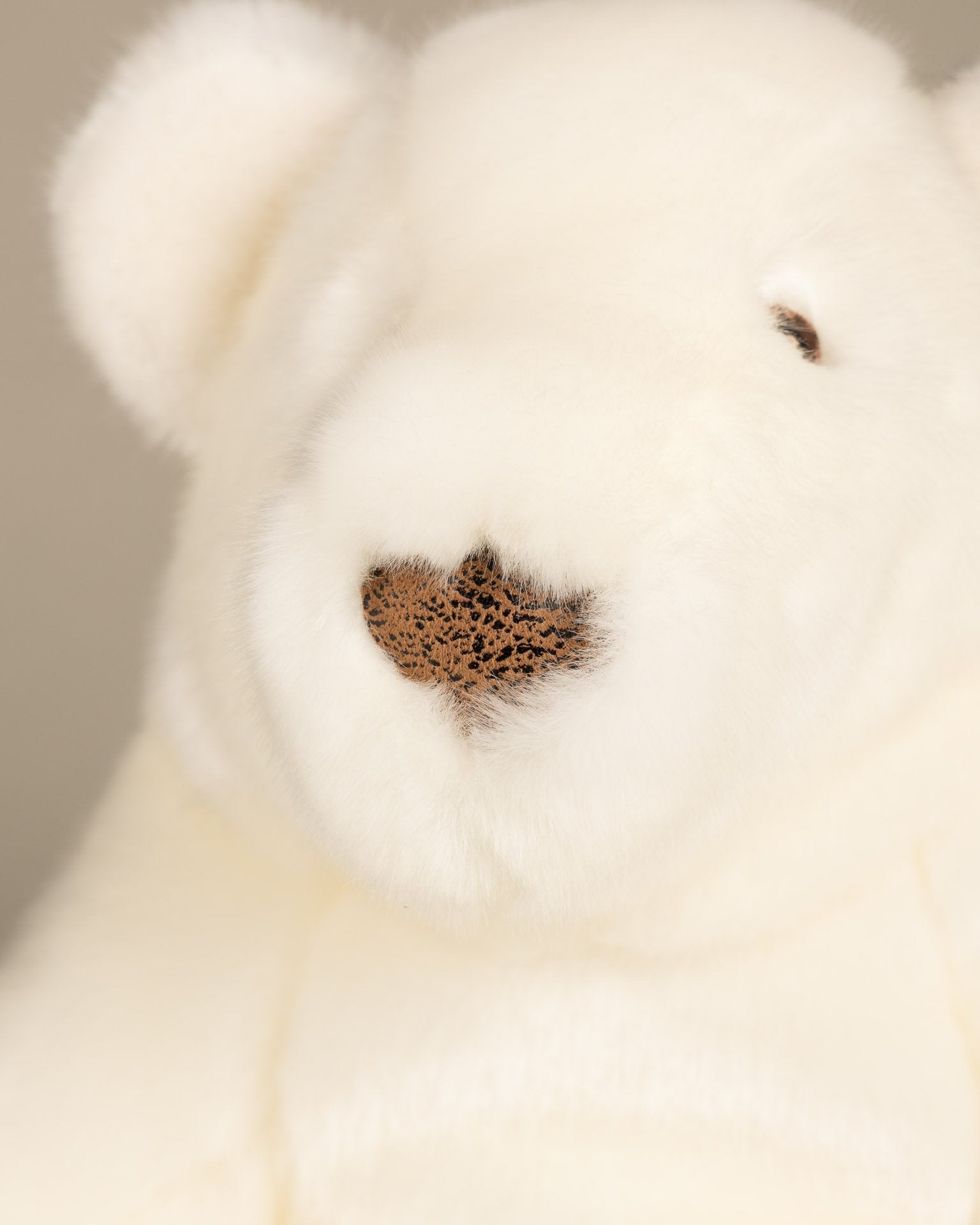 Paul-Emile the Polar Bear