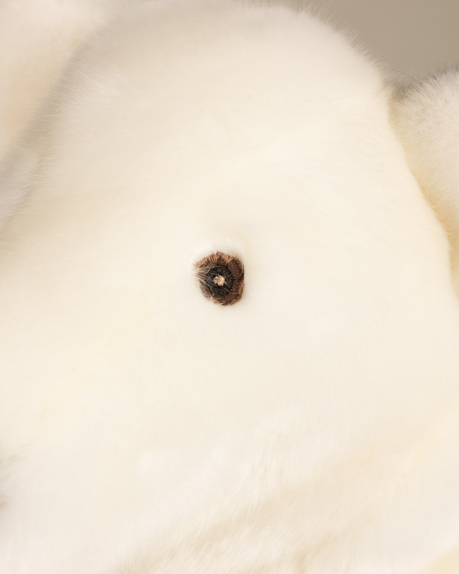 Paul-Emile the Polar Bear