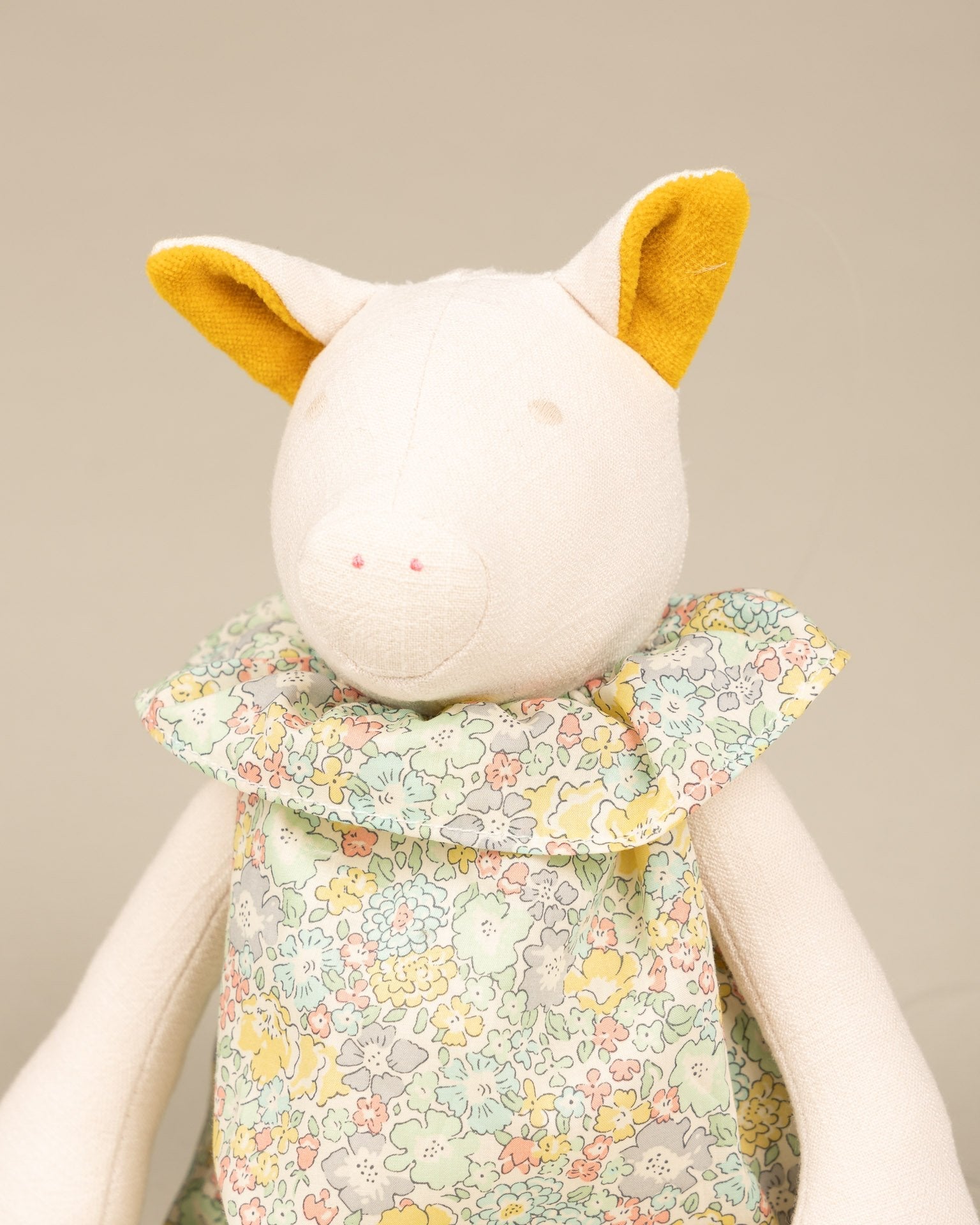 Anémone the Pig